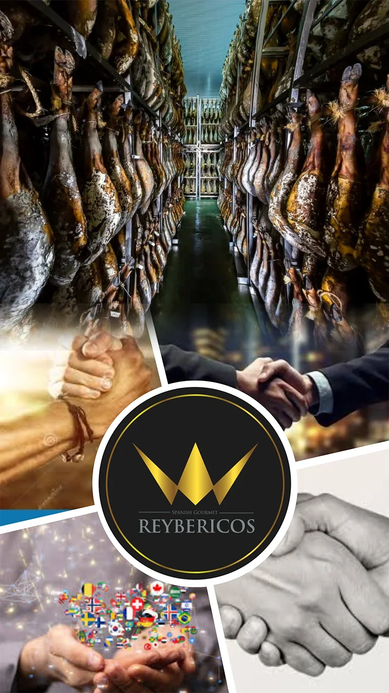 Nuestros proveedores y partners